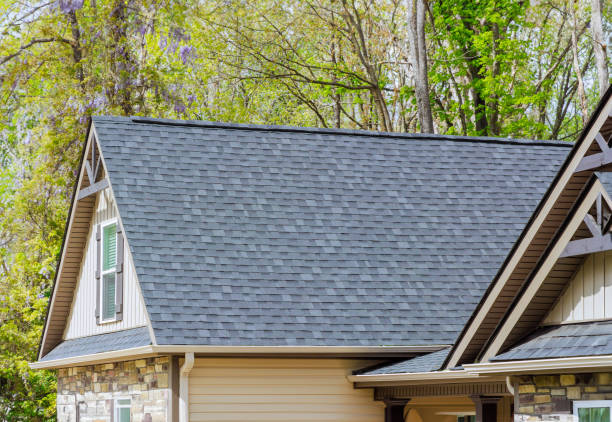 Best Gutter Installation and Repair  in Belton, SC
